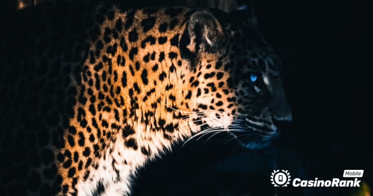 Yggdrasil Partners ReelPlay vabastab Jaguari superteed Bad Dingost
